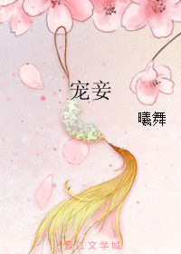 宠妾小说在线阅读