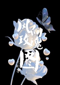 风向玫瑰图生成方法