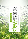 奈何情深缘浅放不下
